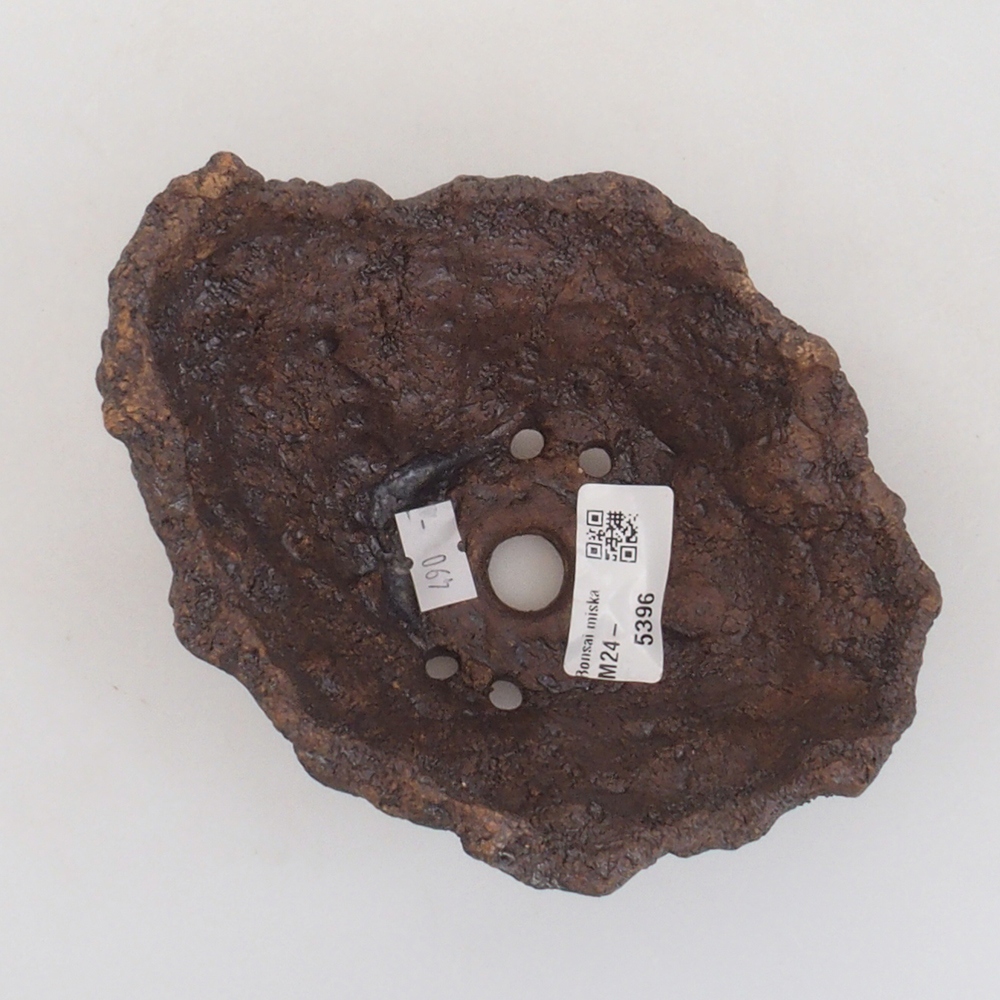 Kerámia kagyló 13 x 10,5 x 12,5 cm , színe barna