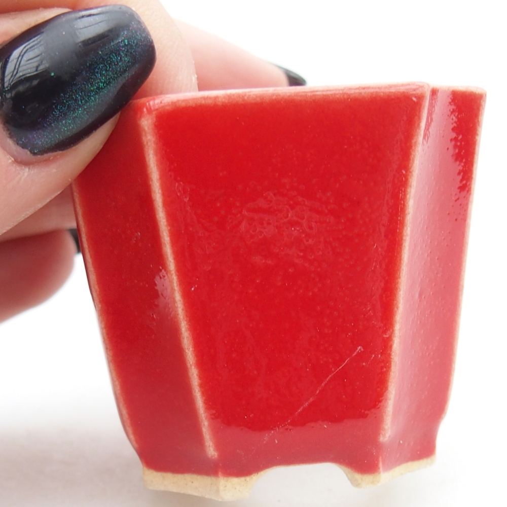 Mini bonsai tál 4,5 x 4,5 x 4 cm, piros színben