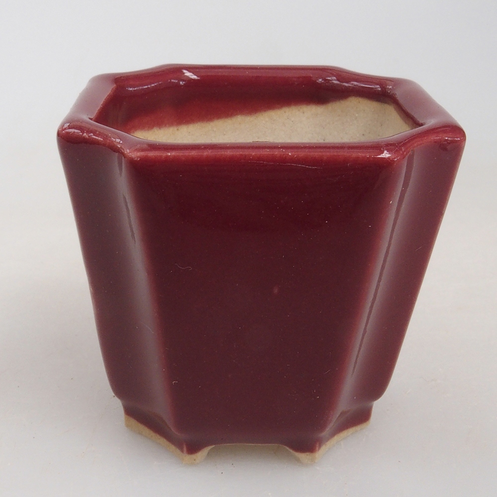 Mini bonsai tál 4 x 4 x 4 cm, bordó színű