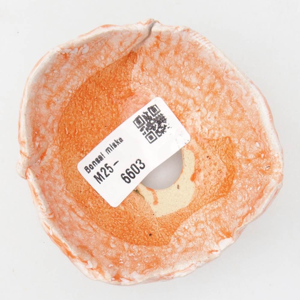 Kerámia kagyló 8 x 8 x 4,5 cm , narancssárga színű