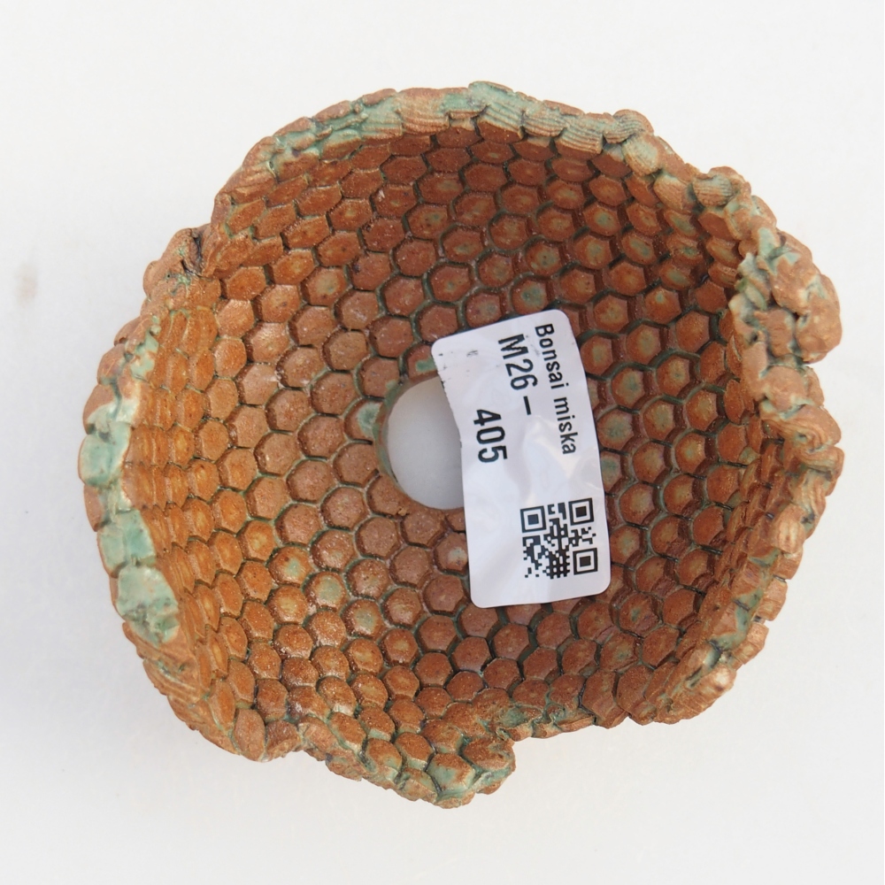 Kerámia kagyló 8 x 8 x 6 cm , színe barna-zöld