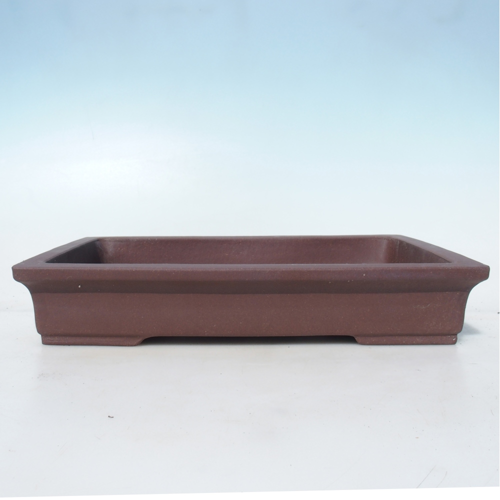 Bonsai tál 36,5 x 24 x 6,5 cm nyírfa barna