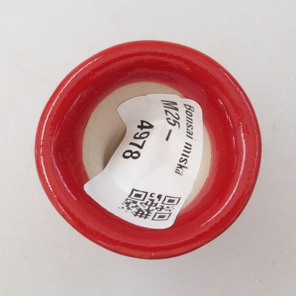 Mini bonsai tál 4 x 4 x 4 cm, piros színben