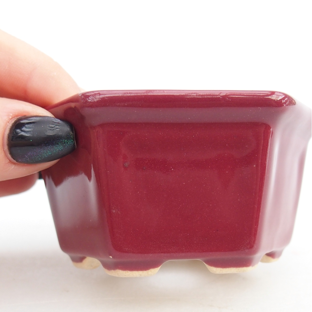 Mini bonsai tál 8 x 7 x 4 cm, bordó színű