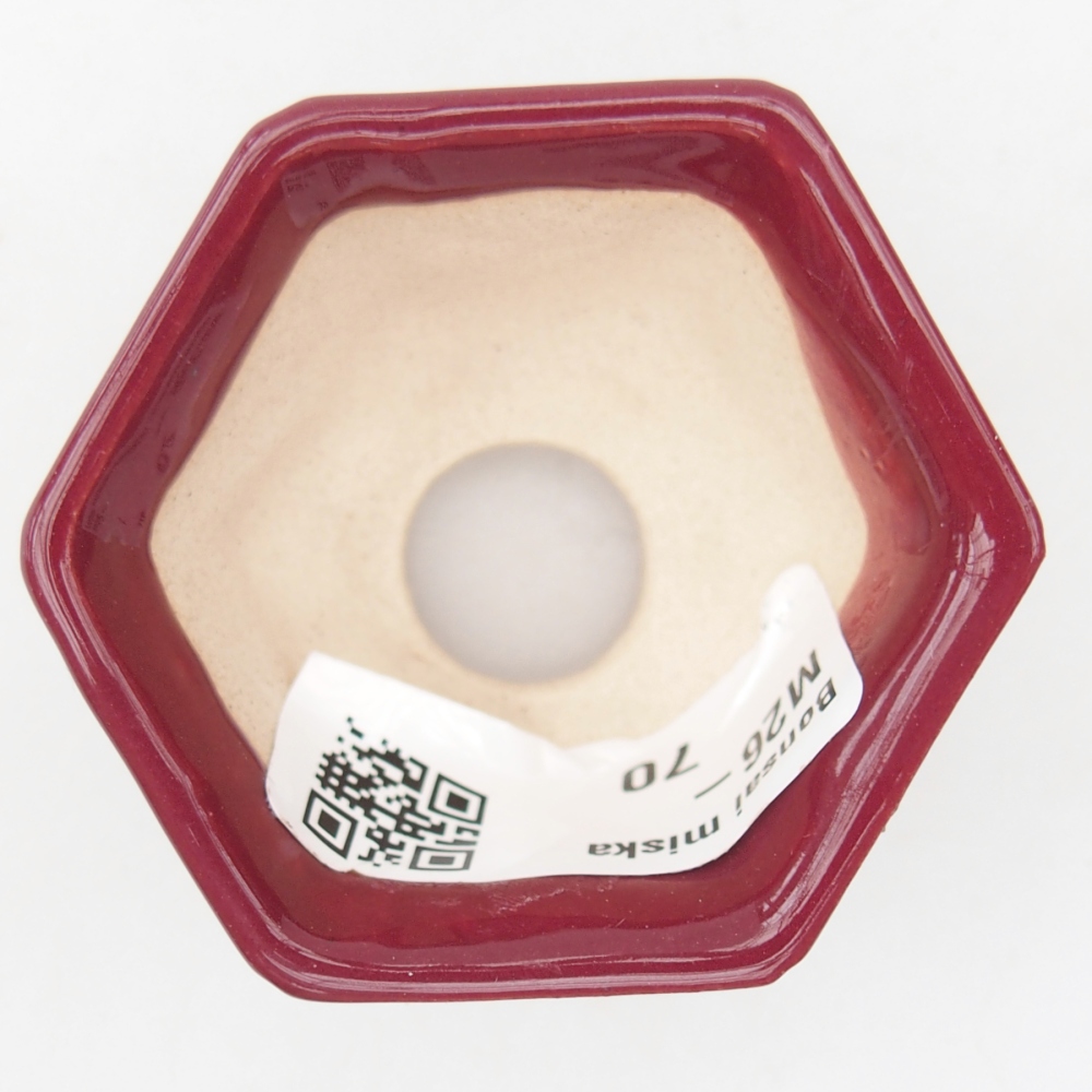 Mini bonsai tál 5 x 4,5 x 3 cm, bordó színű