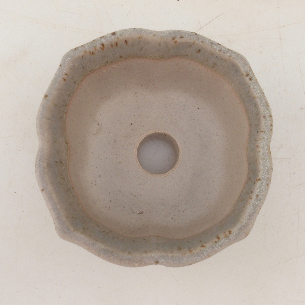 Bonsai tál H95 - 7,5 x 7,5 x 4 cm - bézs színű