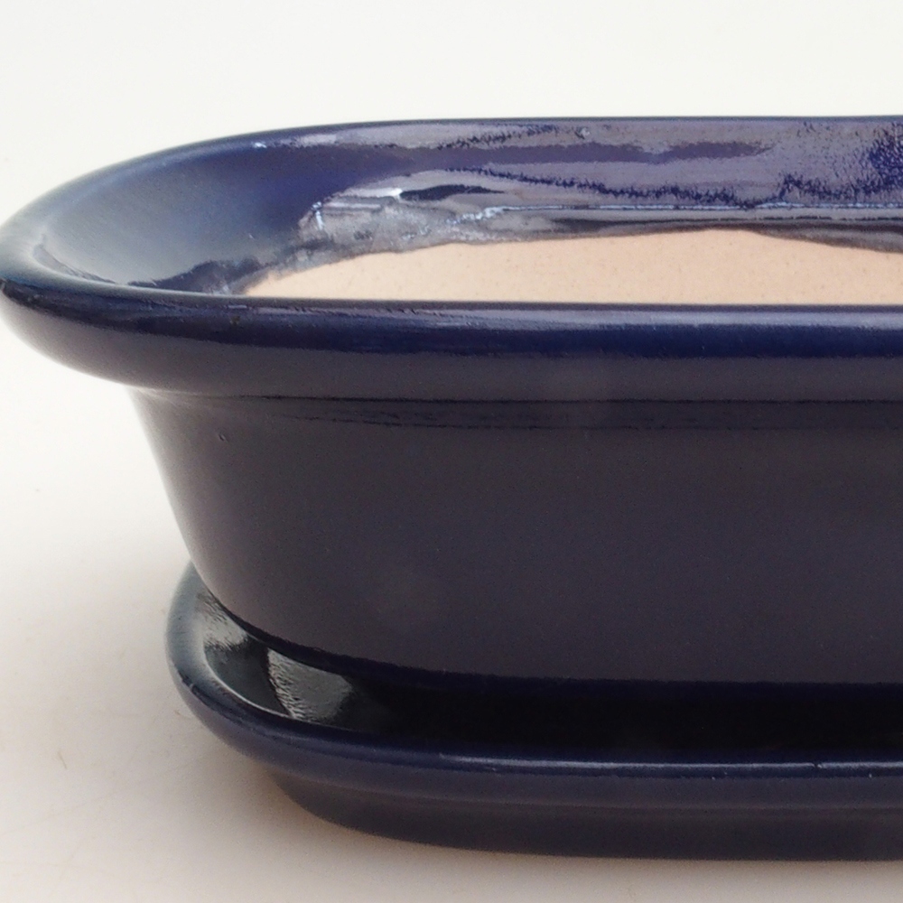 Bonsai tál + csészealj H25 - 23 x 17 x 5,5 cm. - kék