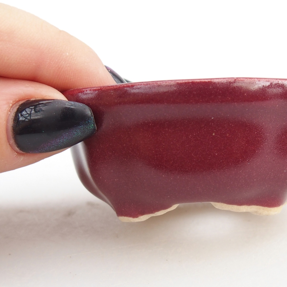 Mini bonsai tál 6,5 x 6,5 x 3 cm, bordó színben