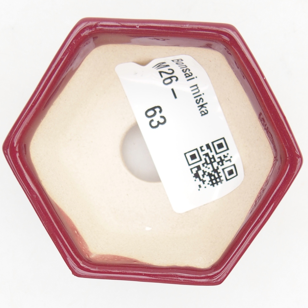 Mini bonsai tál 6 x 5,5 x 2,5 cm, bordó színű