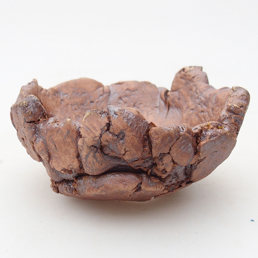 Kerámia kagyló 9 x 9 x 4,5 cm , színe barna