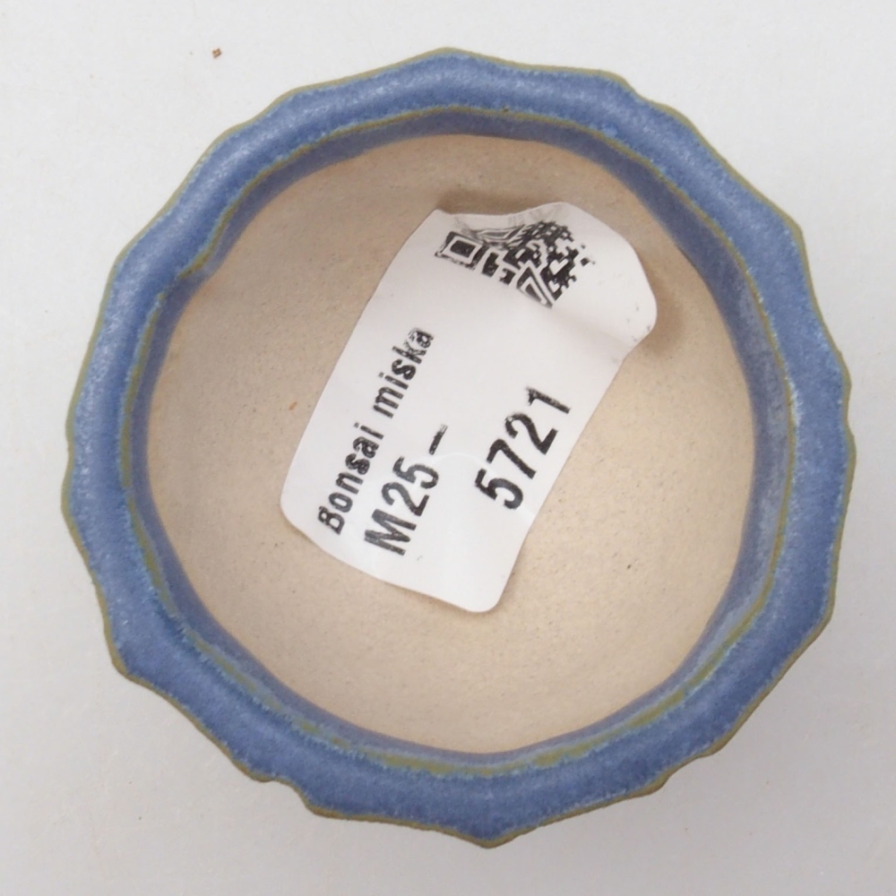 Mini bonsai tál 5 x 5 x 3 cm, kék