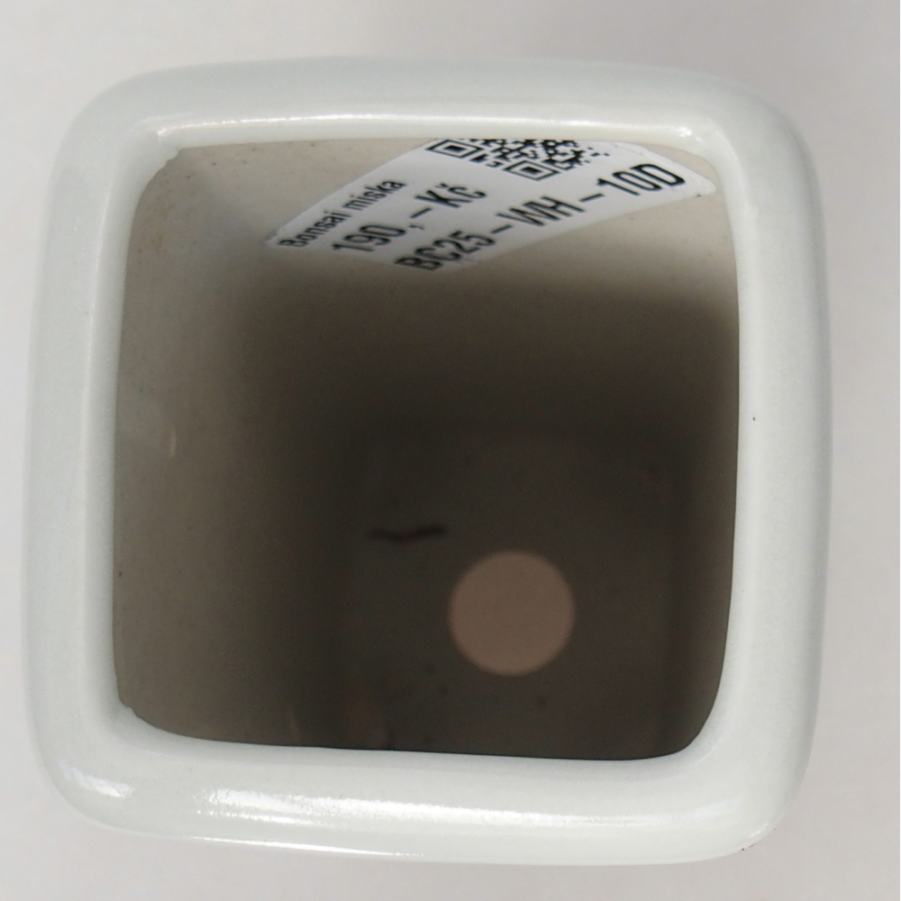 kerámia bonsai tál 5,5 x 5,5 x 12 cm, fehér színben