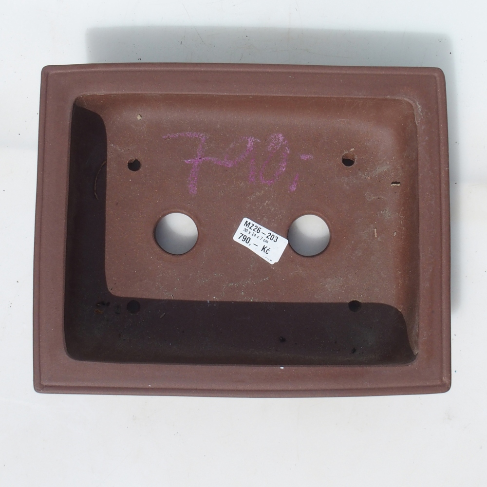 Bonsai tál 30 x 24 x 7 cm nyírfa barna