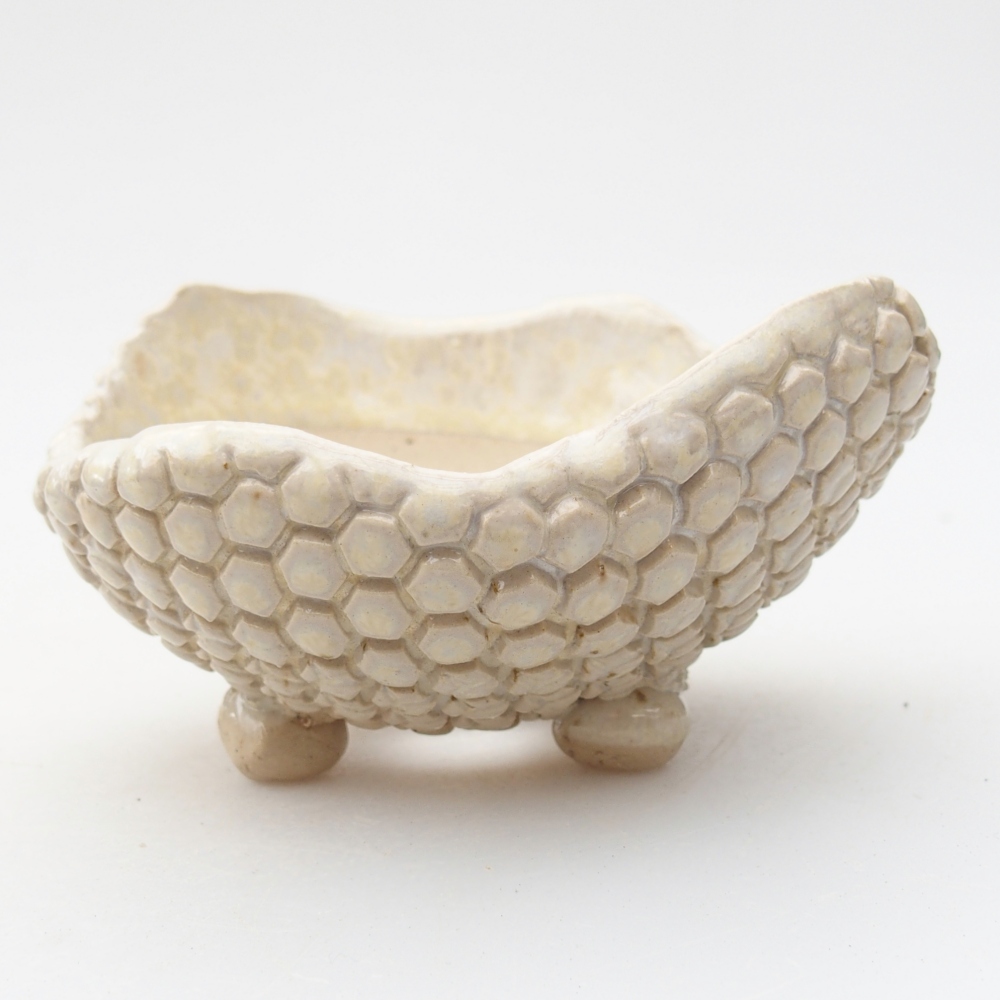 Kerámia kagyló 8,5 x 8,5 x 5 cm , bézs színű