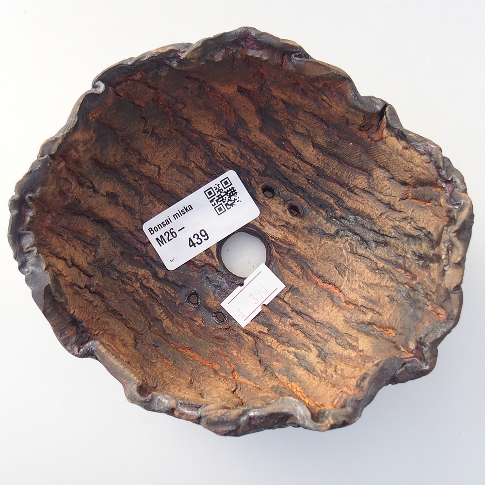 Kerámia kagyló 13,5 x 12,5 x 7,5 cm , színe barna