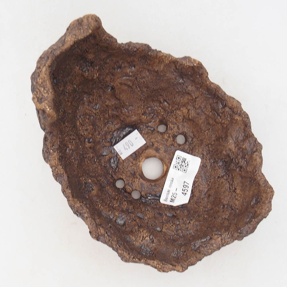 Kerámia kagyló 14 x 14 x 13 cm , színe barna