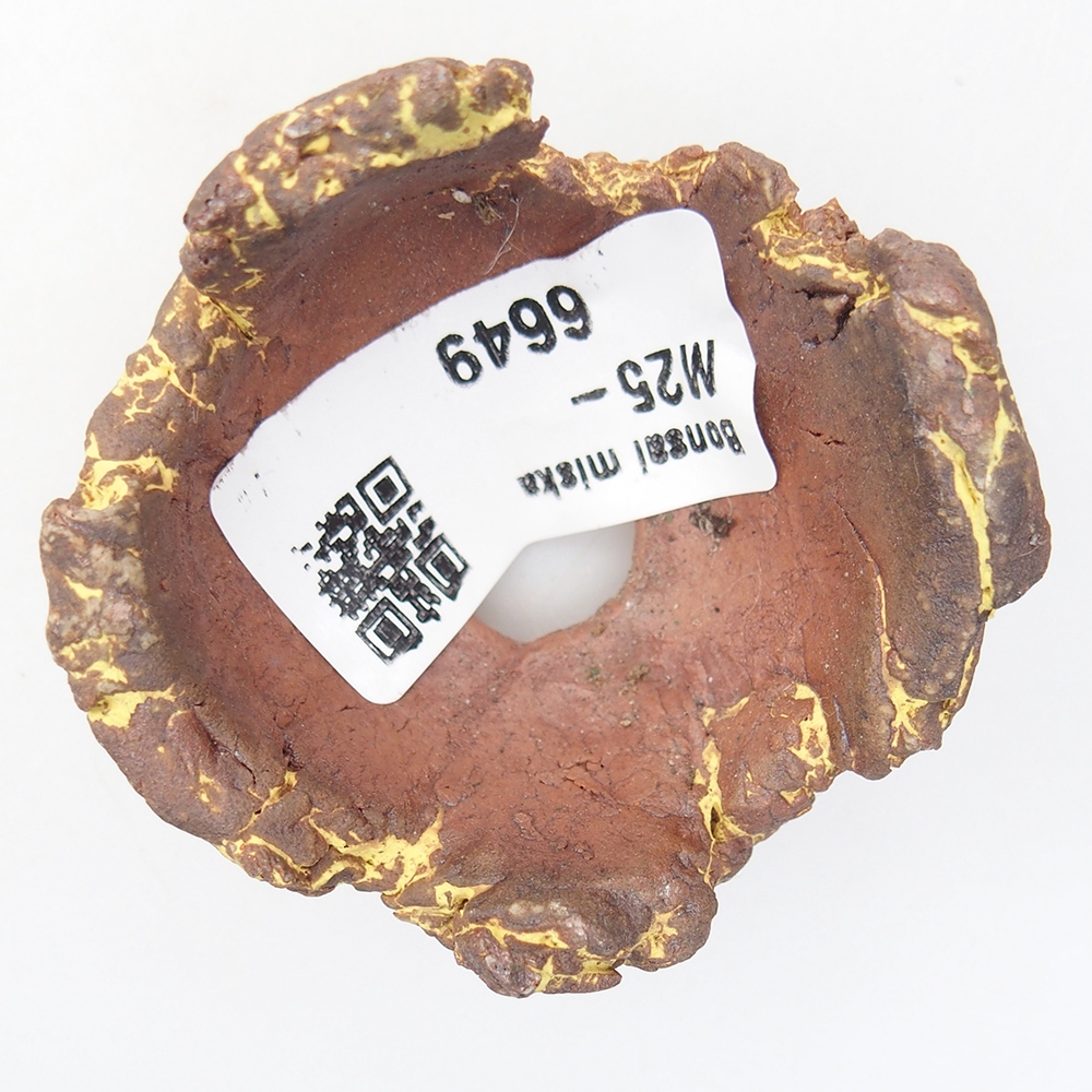 Kerámia kagyló 5,5 x 5 x 4 cm , sárga színű