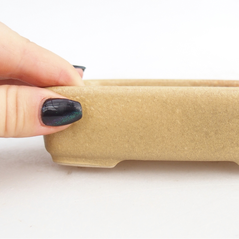 kerámia bonsai tál 12,5 x 9,5 x 3,5 cm, bézs színben