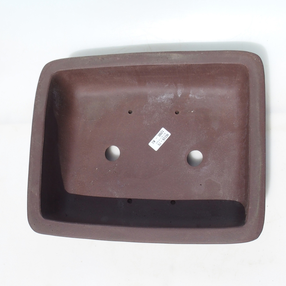 Bonsai tál 39 x 32 x 10,5 cm nyírfa barna