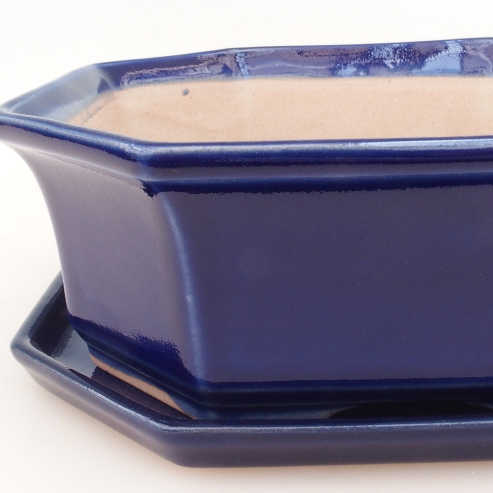 Bonsai tál + csészealj H14 - kék