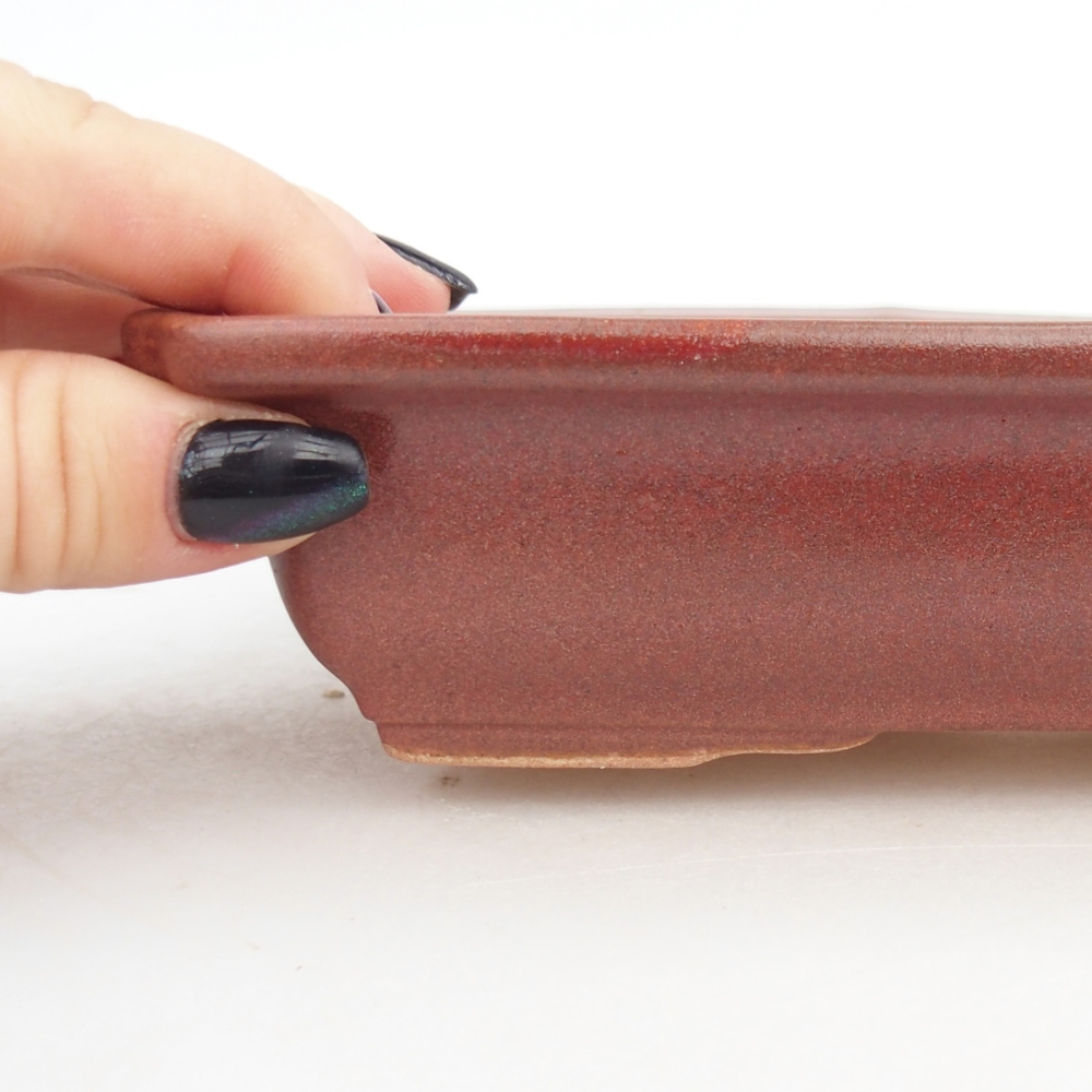 kerámia bonsai tál 18 x 13,5 x 4,5 cm, bordó színű