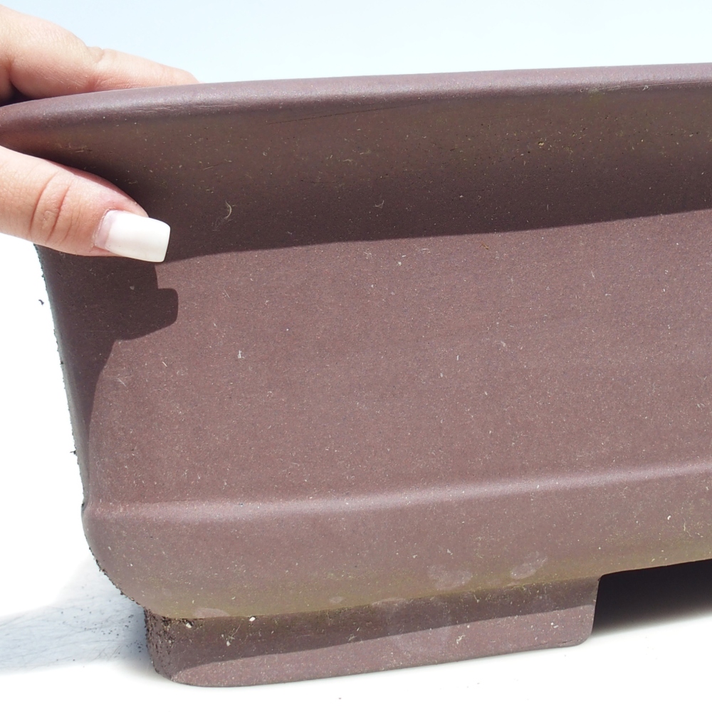 Bonsai tál 65 x 48 x 16 cm - barna