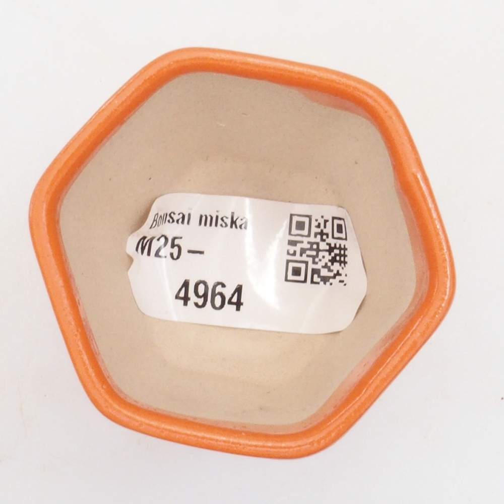 Mini bonsai tál 5 x 5 x 5 cm, narancssárga