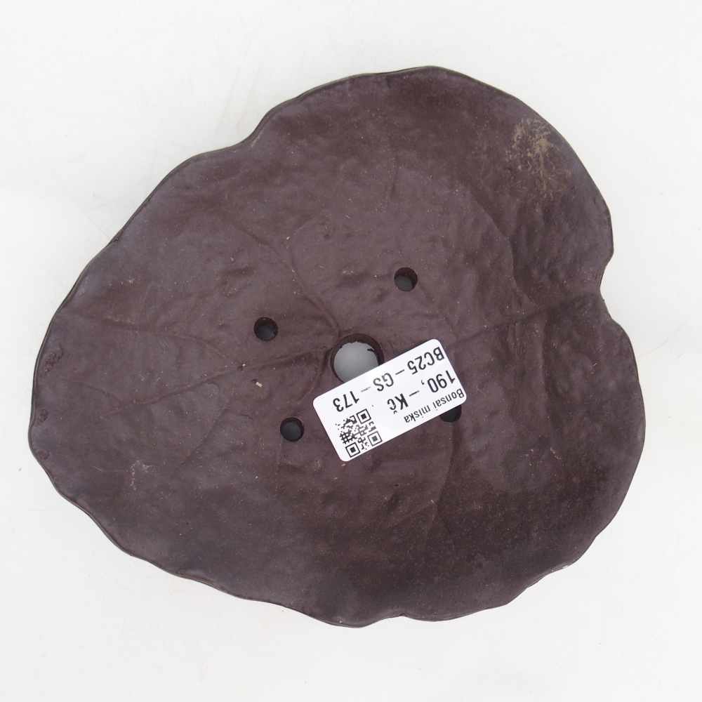 Kerámia kagyló 16 x 14,5 x 4 cm , színe barna