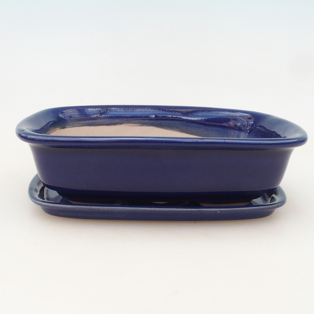 Bonsai tál + csészealj H02 - kék