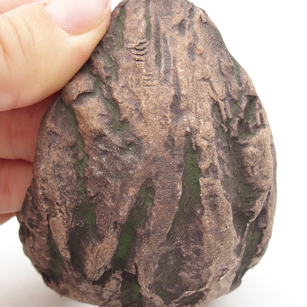 Kerámia kagyló 8 x 5,5 x 7 cm , zöld színű