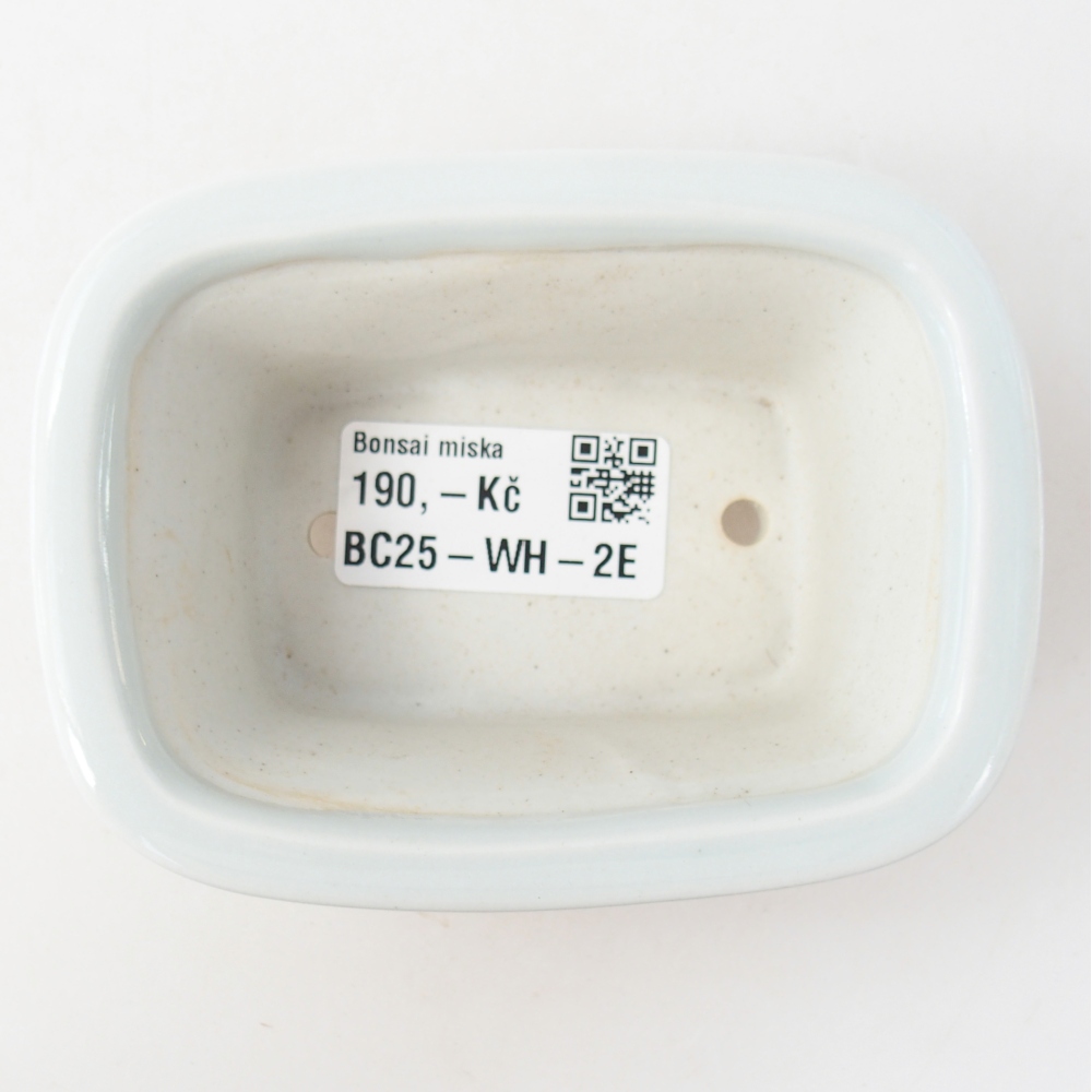 Mini bonsai tál 10 x 7,5 x 4 cm, fehér színben
