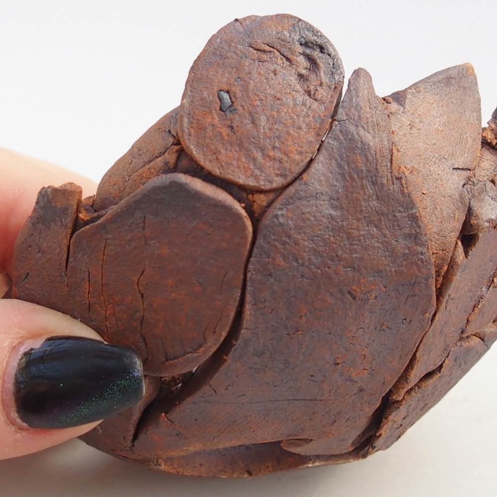 Kerámia kagyló 8,5 x 8,5 x 5,5 cm , színe barna