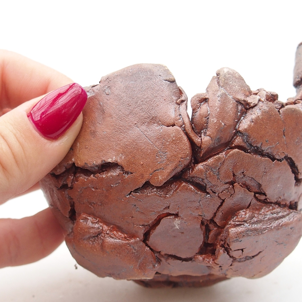 Kerámia kagyló 10 x 9 x 7 cm , barna színű