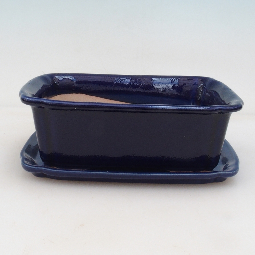 Bonsai tál + csészealj H50 - kék