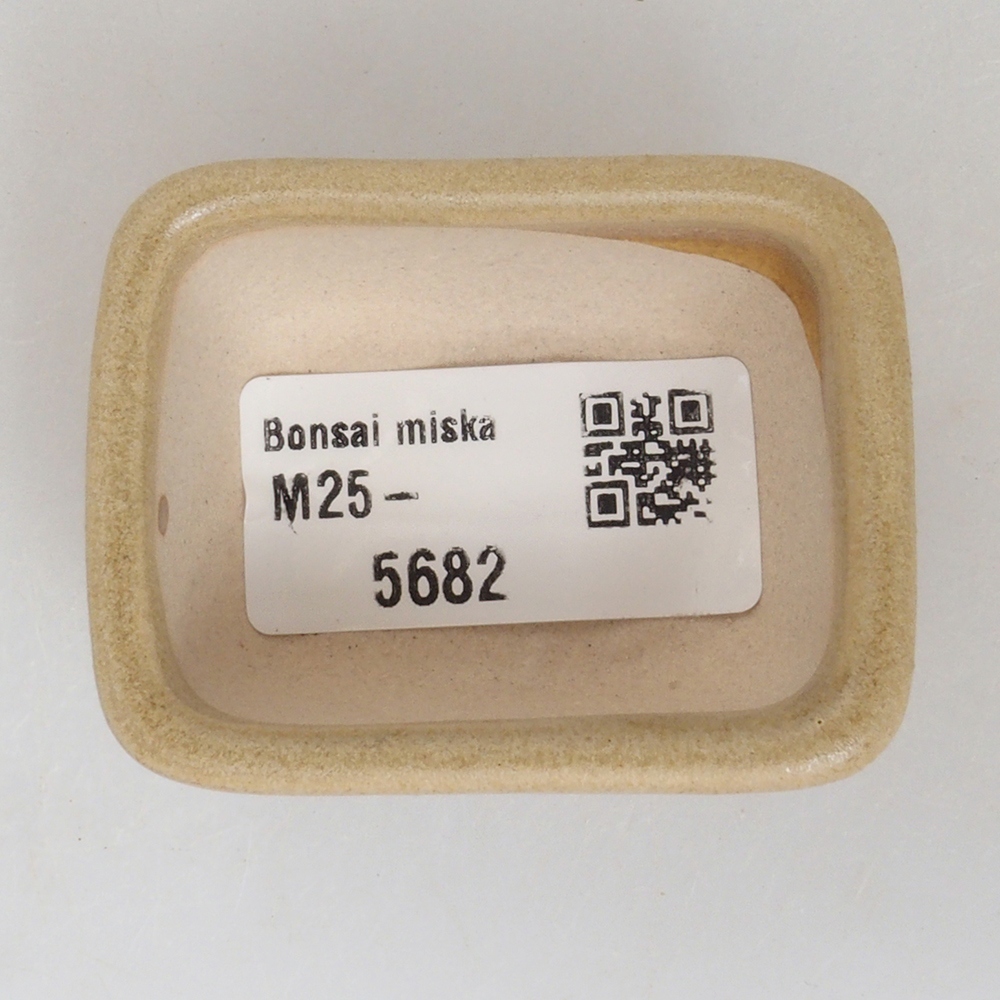 Mini bonsai tál 5,5 x 4,5 x 2,5 cm, barna