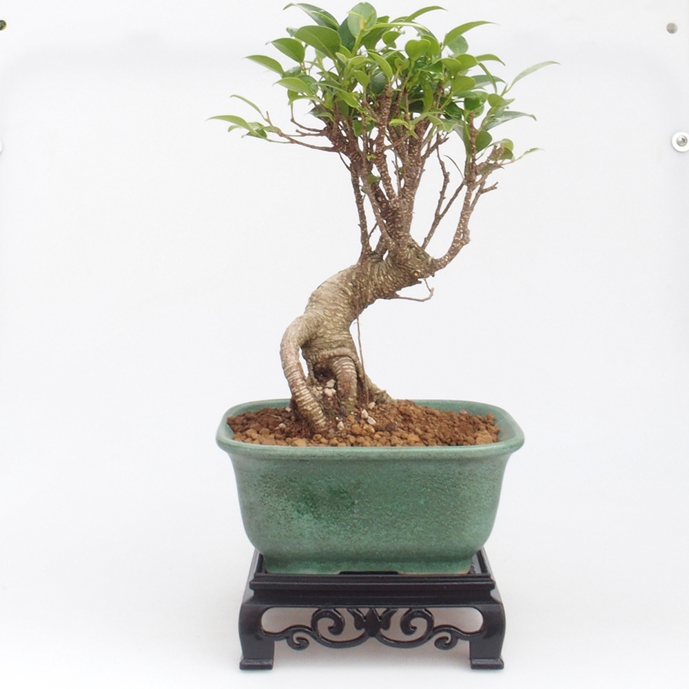 Bonsai asztal műanyag szögletes 14,5 x 14,5 x 5 cm, fekete színben