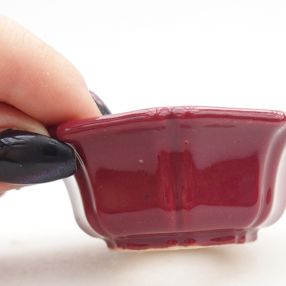 Mini bonsai tál 6 x 6 x 2,5 cm, bordó színű