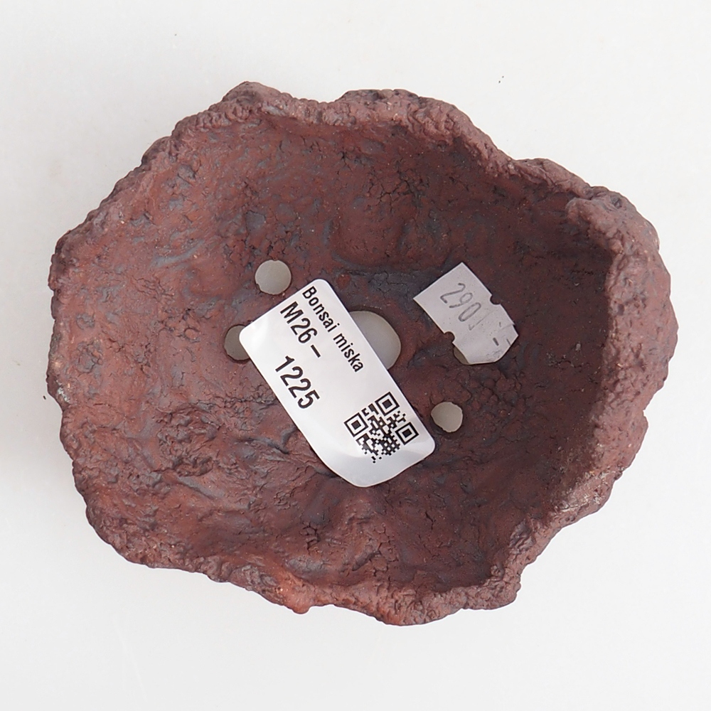 Kerámia kagyló 9 x 7,5 x 9 cm , barna színű