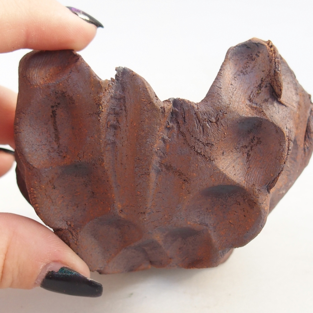 Kerámia kagyló 9 x 9 x 6,5 cm , színe barna