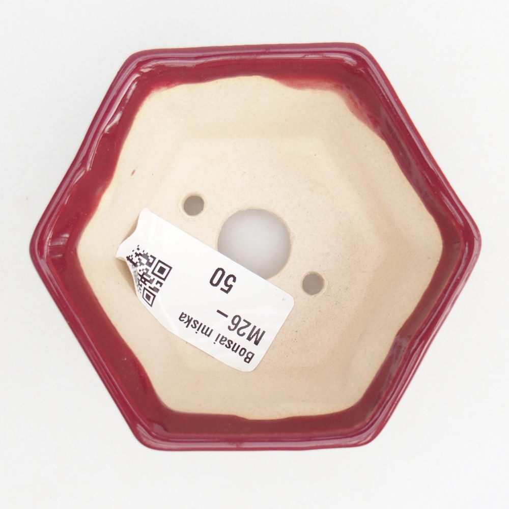 Mini bonsai tál 8 x 7 x 4 cm, bordó színű