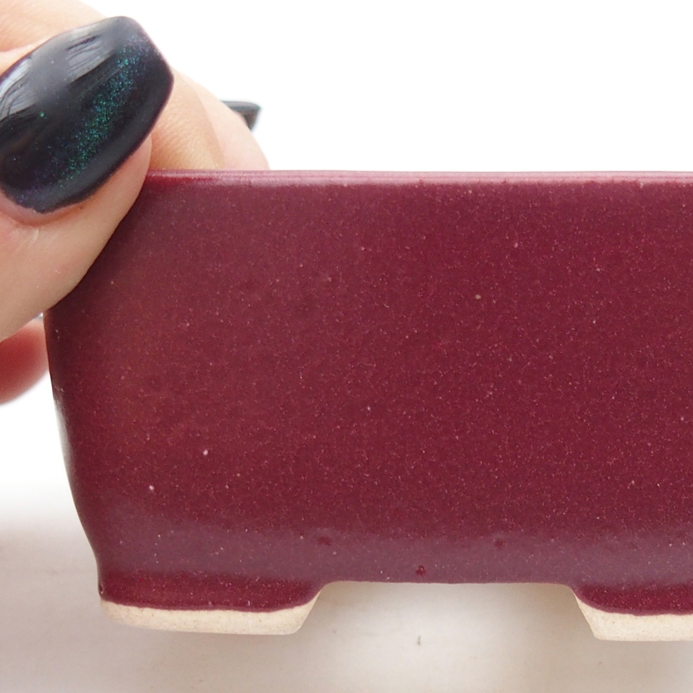 Mini bonsai tál 7 x 7 x 4 cm, bordó színű