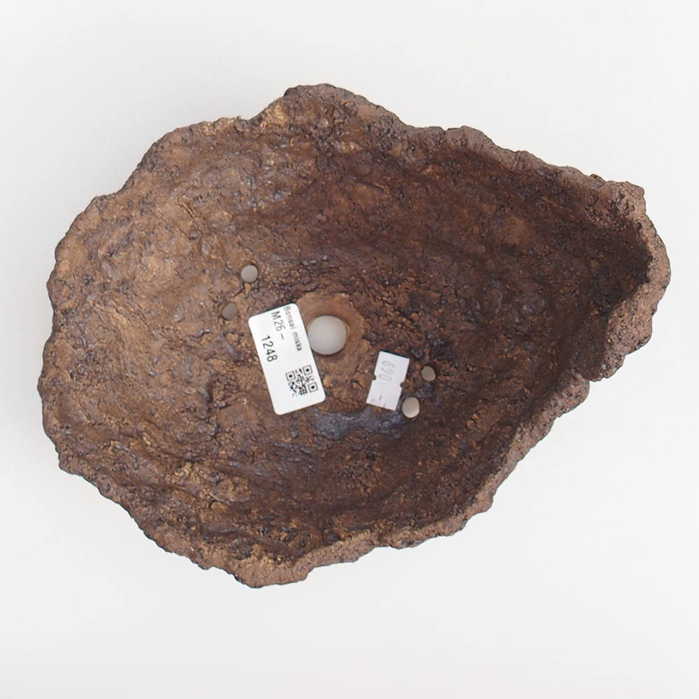 Kerámia kagyló 19 x 15 x 14 cm , barna színű