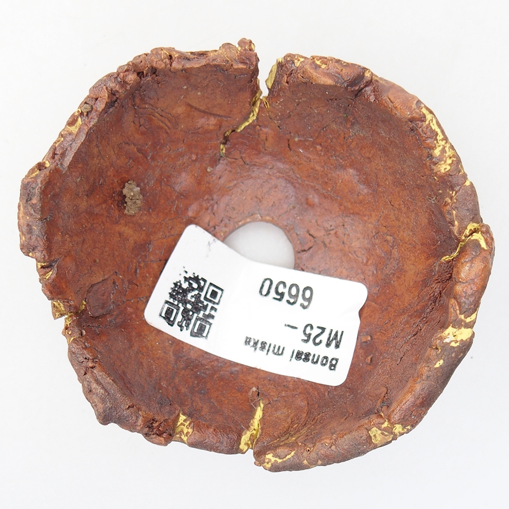 Kerámia kagyló 7 x 6,5 x 4 cm , sárga színű