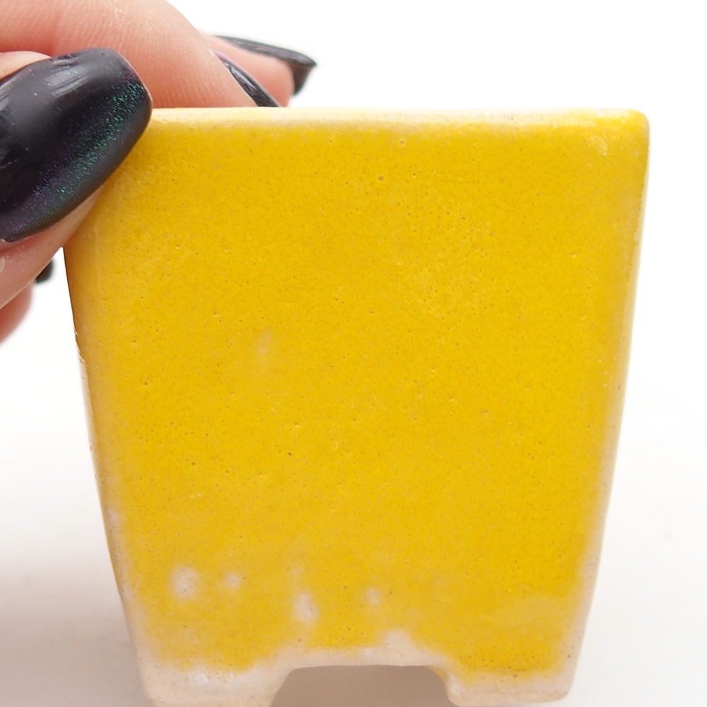 Mini bonsai tál 5 x 5 x 5 cm, sárga