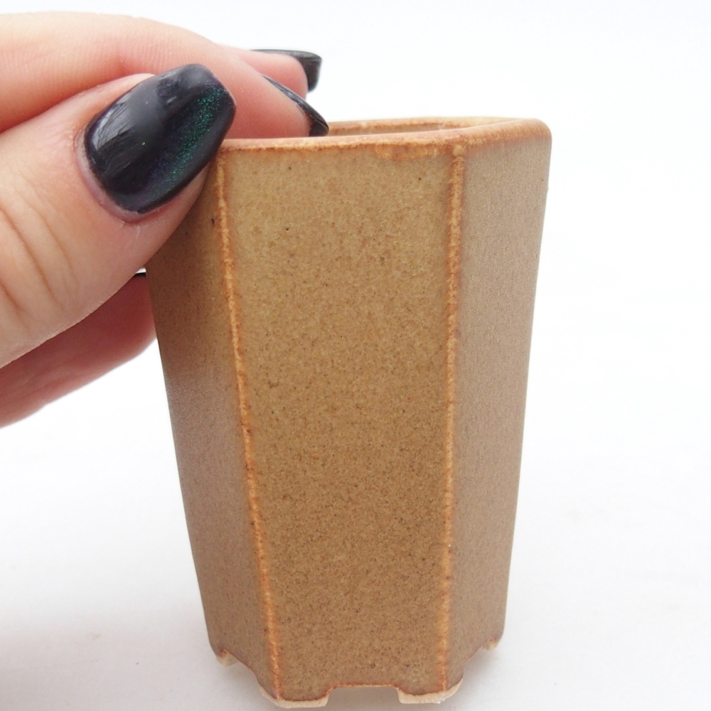 Mini bonsai tál 5 x 4,5 x 6,5 cm, barna