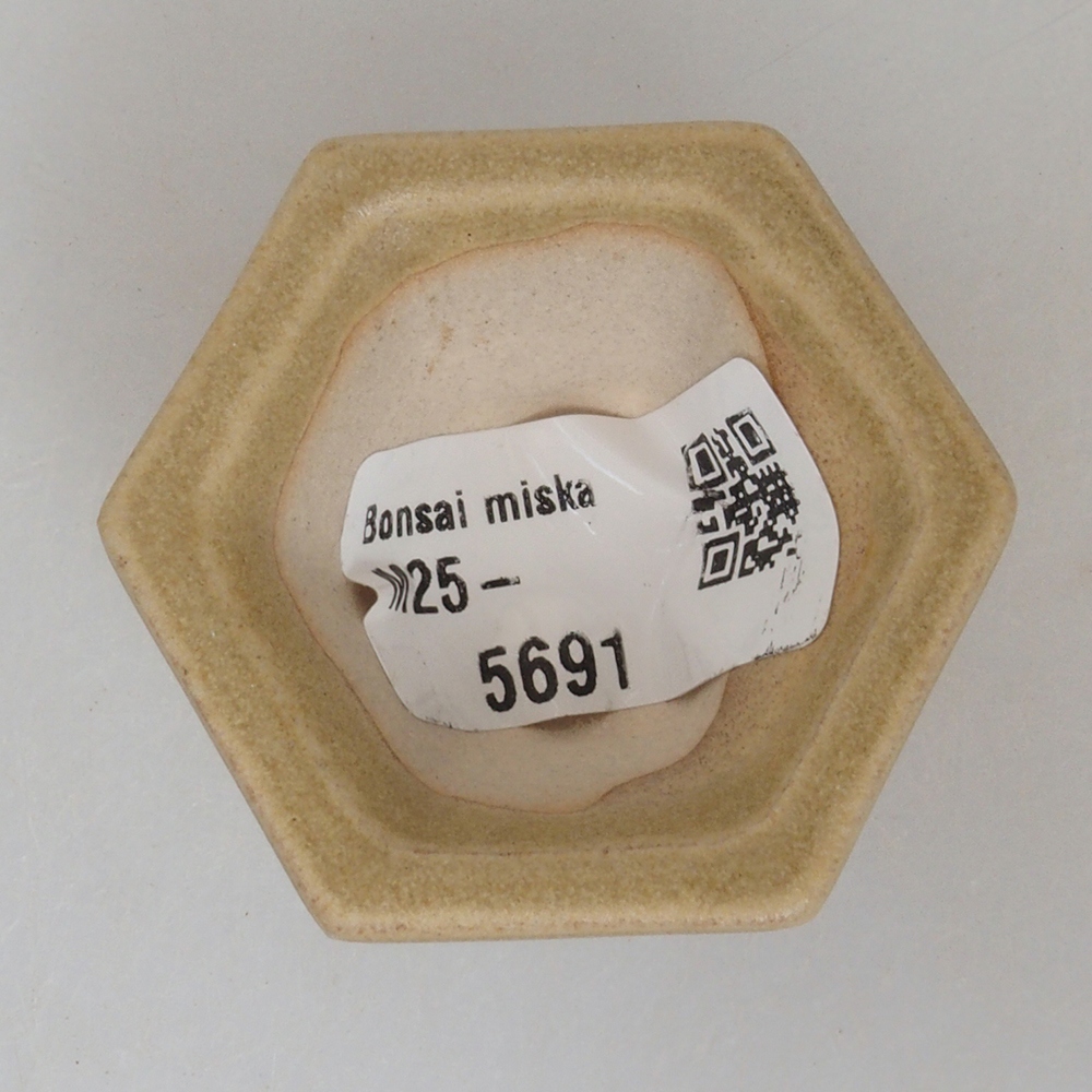 Mini bonsai tál 4,5 x 4,5 x 2,5 cm, barna