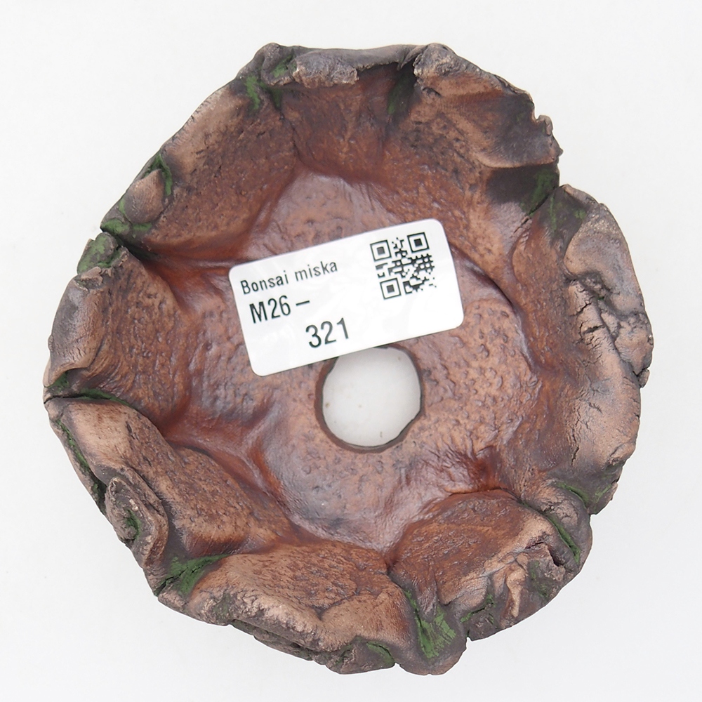 Kerámia kagyló 10 x 9 x 5,5 cm , zöld színű