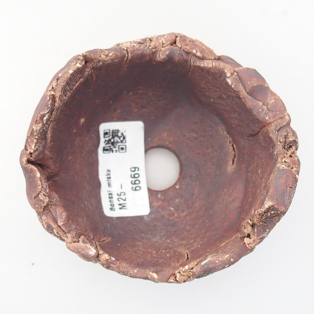 Kerámia kagyló 9 x 9 x 6 cm , színe barna