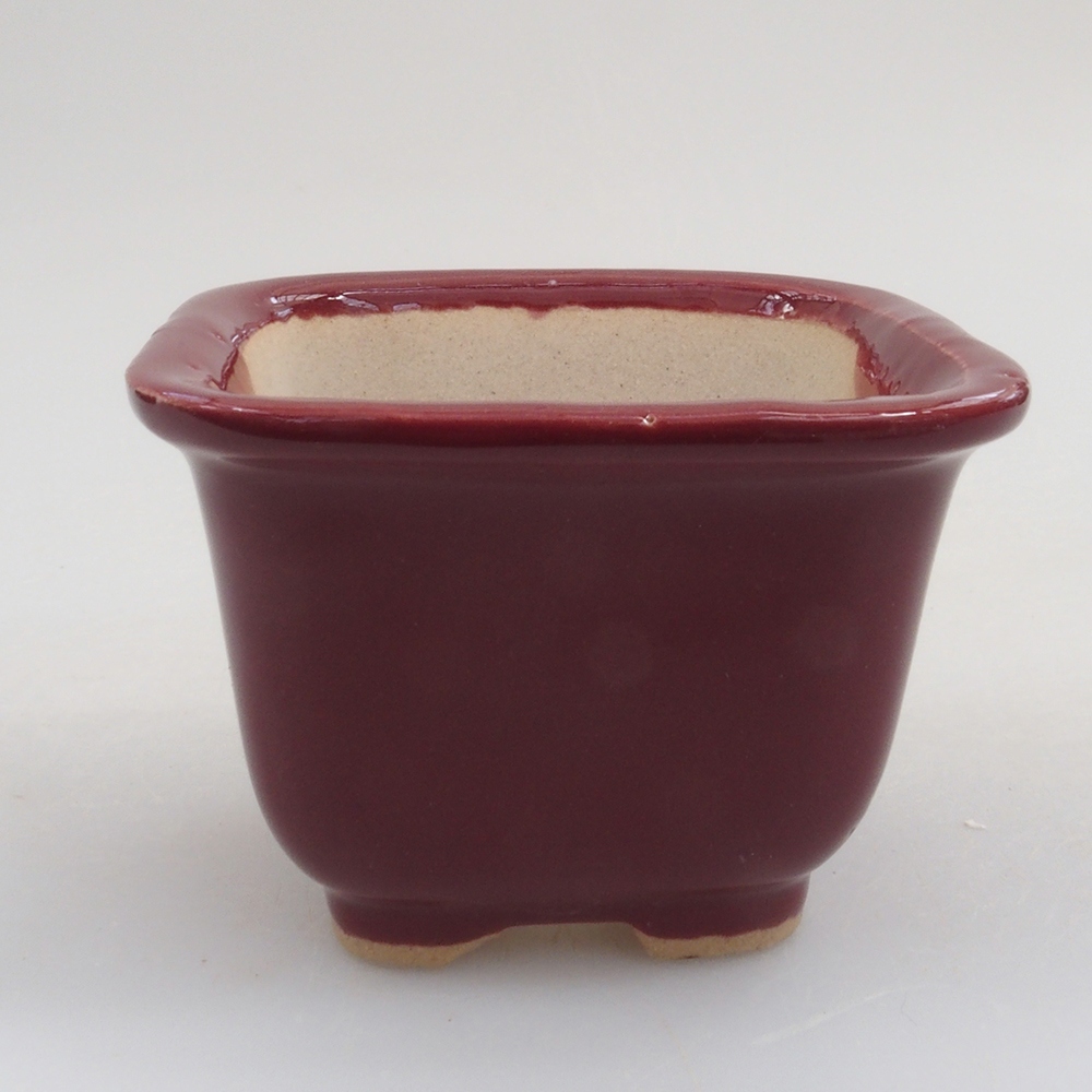 Mini bonsai tál 6 x 6 x 4,5 cm, bordó színű