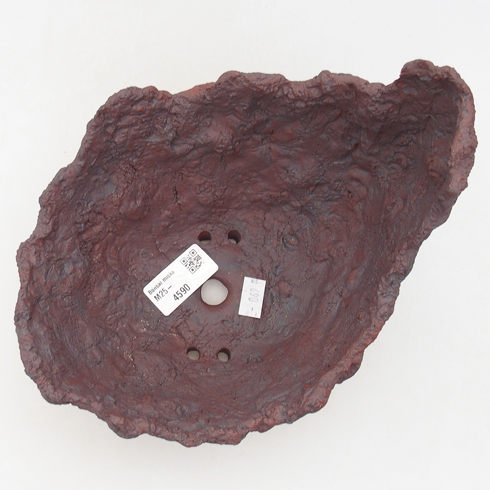 Kerámia kagyló 19 x 17 x 15 cm , barna színű